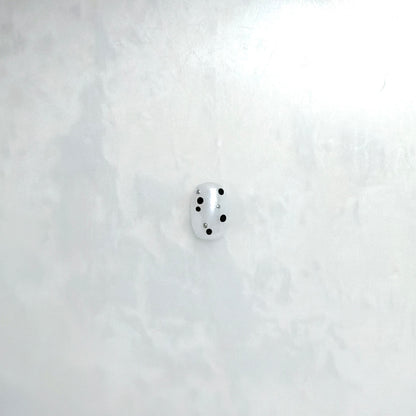 HAHS012