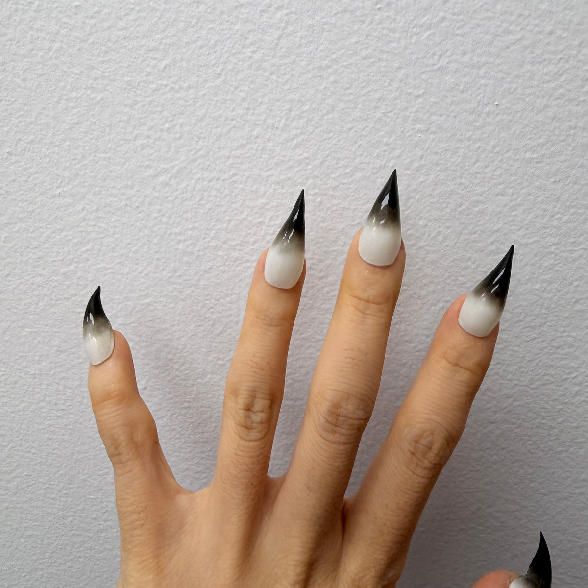 Cat Claws-Grey.White.Wild