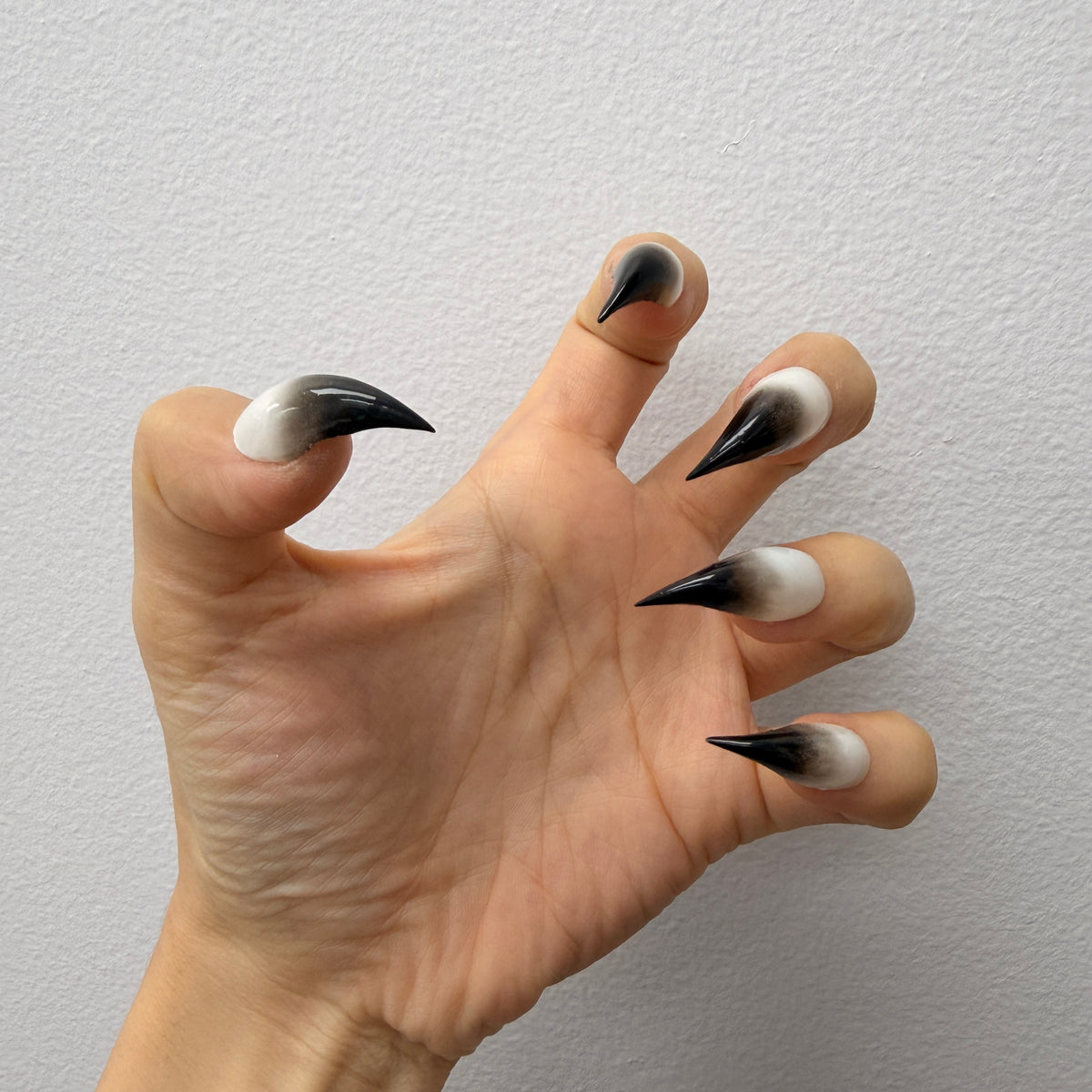 Cat Claws-Grey.White.Wild