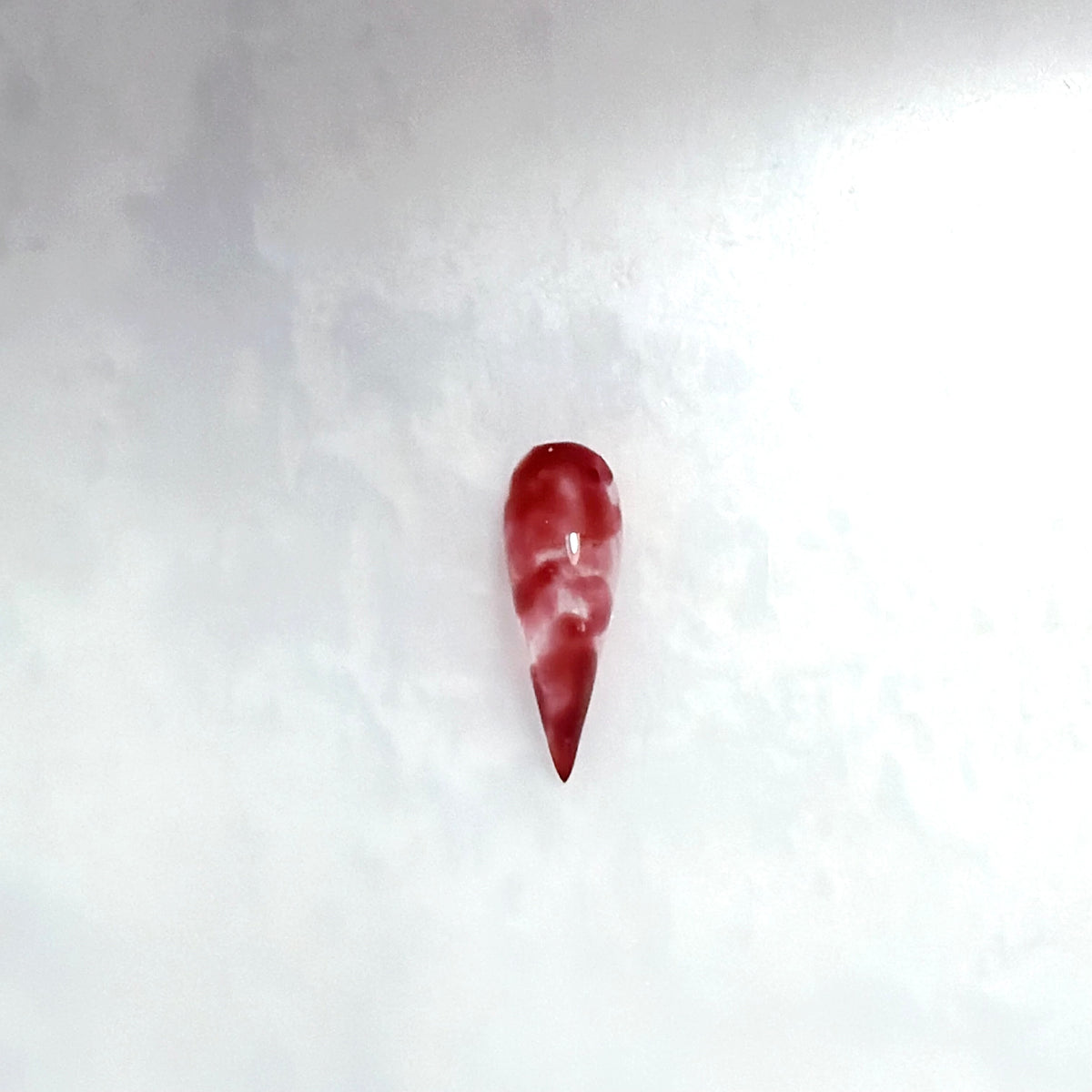 HAHS049 Cat Claw