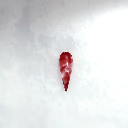 HAHS049 Cat Claw