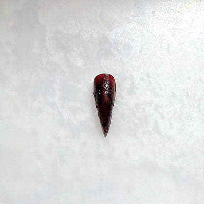 HAHS048 Cat Claw