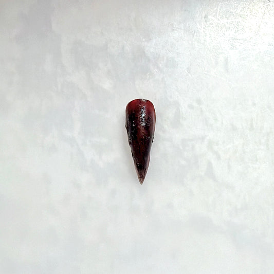 HAHS048 Cat Claw